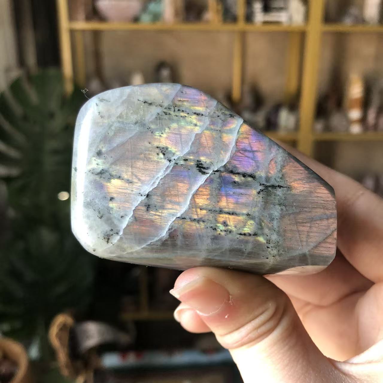 Labradorite Privo di#8