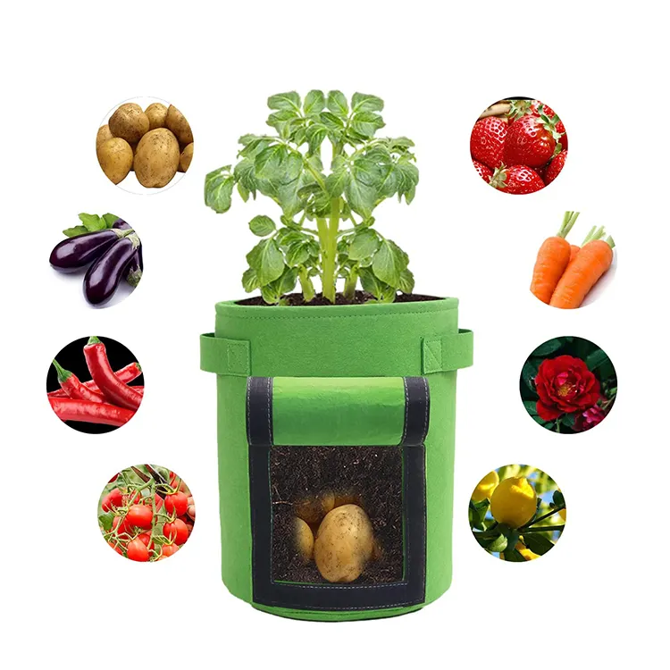 Plant Potato Tomato Carrot Onion fabric plant grow bag to grow vegetables/tomato grow bags
