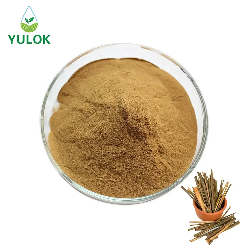 Salix Alba Bast Extract Hoge Zuiverheid Bulk Witte Wilgenbast Extract Voor Cosmetica Huidverzorging