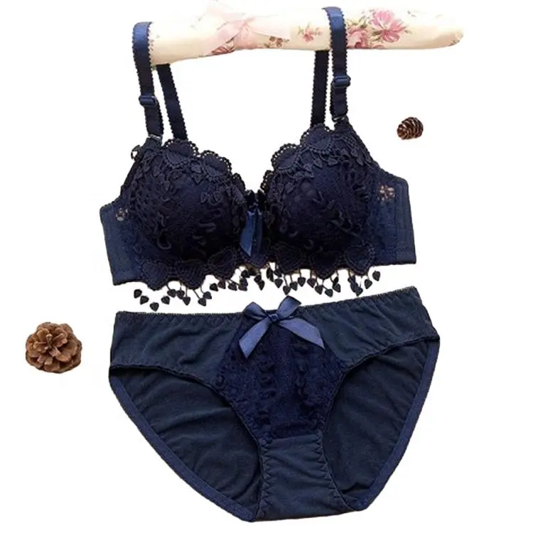 Adult Women's Sexy Lace Bra and Panty Set Solid Pattern Underwire Push-Up Embroidery Bra and Brief Set Lovely Girls Design