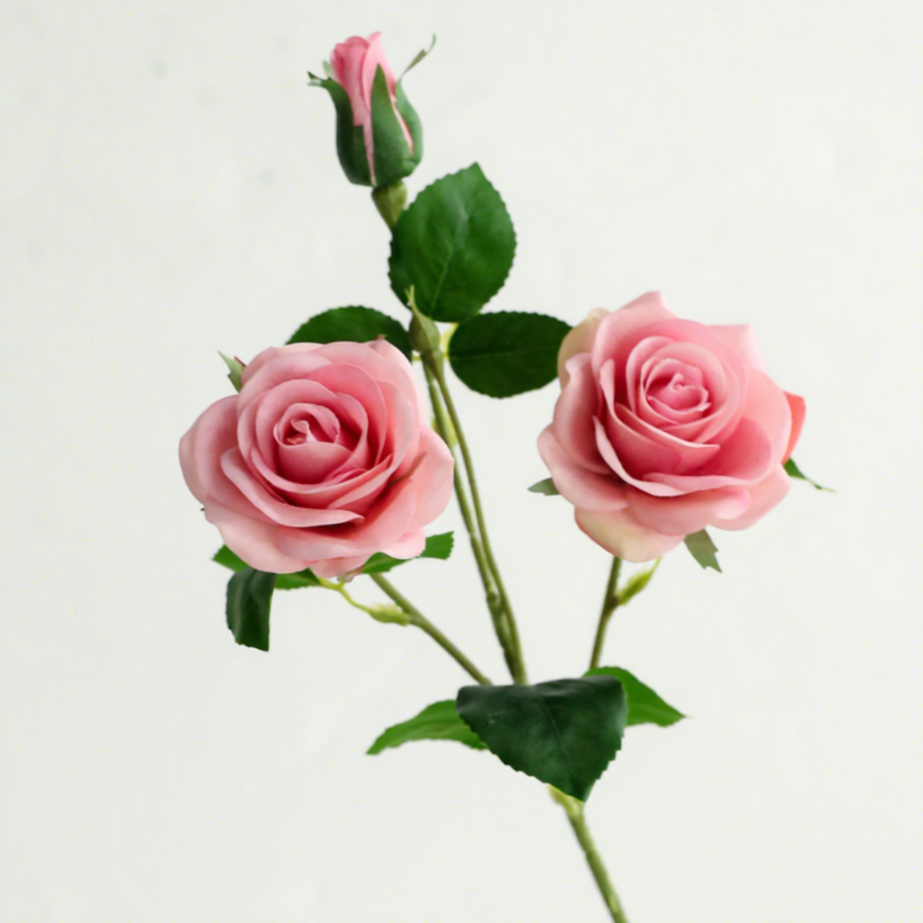 Rose d'automne