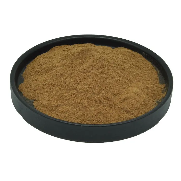 Polvo de extracto de Rhizoma Cimicifugae de alta calidad, extracto de Actaea Racemosa 1% -20%, glucósidos triterpenos