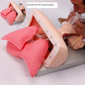 Advanced <strong>Human</strong> Tracheal Intubation Training Model for Medical Education Training - Product Image 5