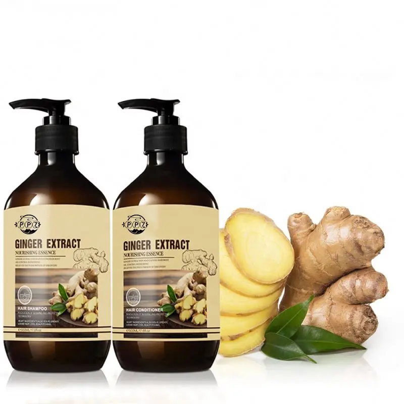 Prodotti per la cura dei capelli Shampoo per capelli allo zenzero naturale puro al 100% Shampoo anticaduta 500ml shampoo allo zenzero