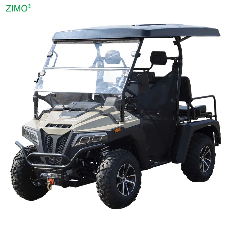 2024 yeni benzinli Powered Buggy 2 + 2 koltuklu Off Road 4x4 avcılık araba Golf arabası satılık