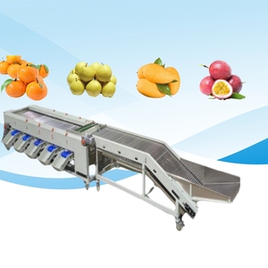<strong>High</strong> <strong>Efficiency</strong> Commercial Fruit Size Grading Sorting Machine Roller Type Fruit <strong>Classifier</strong> Machine - Product Image 5