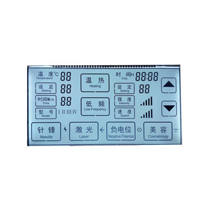 Prezzo competitivo 7 segmenti sfondo verde Mono colore FSTN schermo LCD