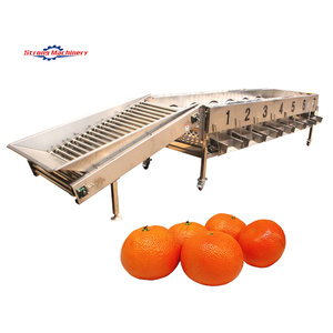 Datteri frutti di palma macchina per la selezione delle dimensioni della macchina per la selezione delle cipolle di patate vegetali - Product Image 1