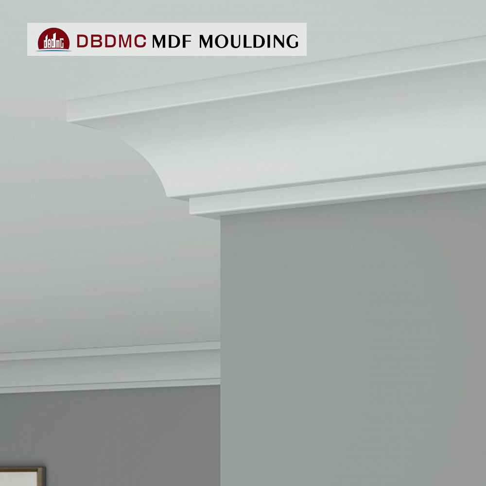 DBM04