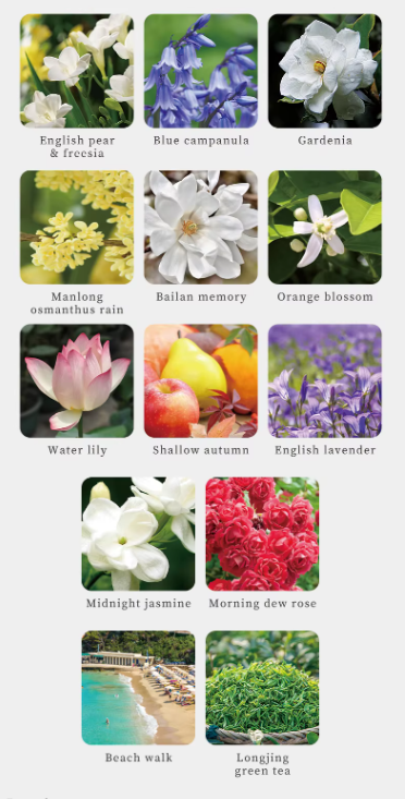 Options de parfum