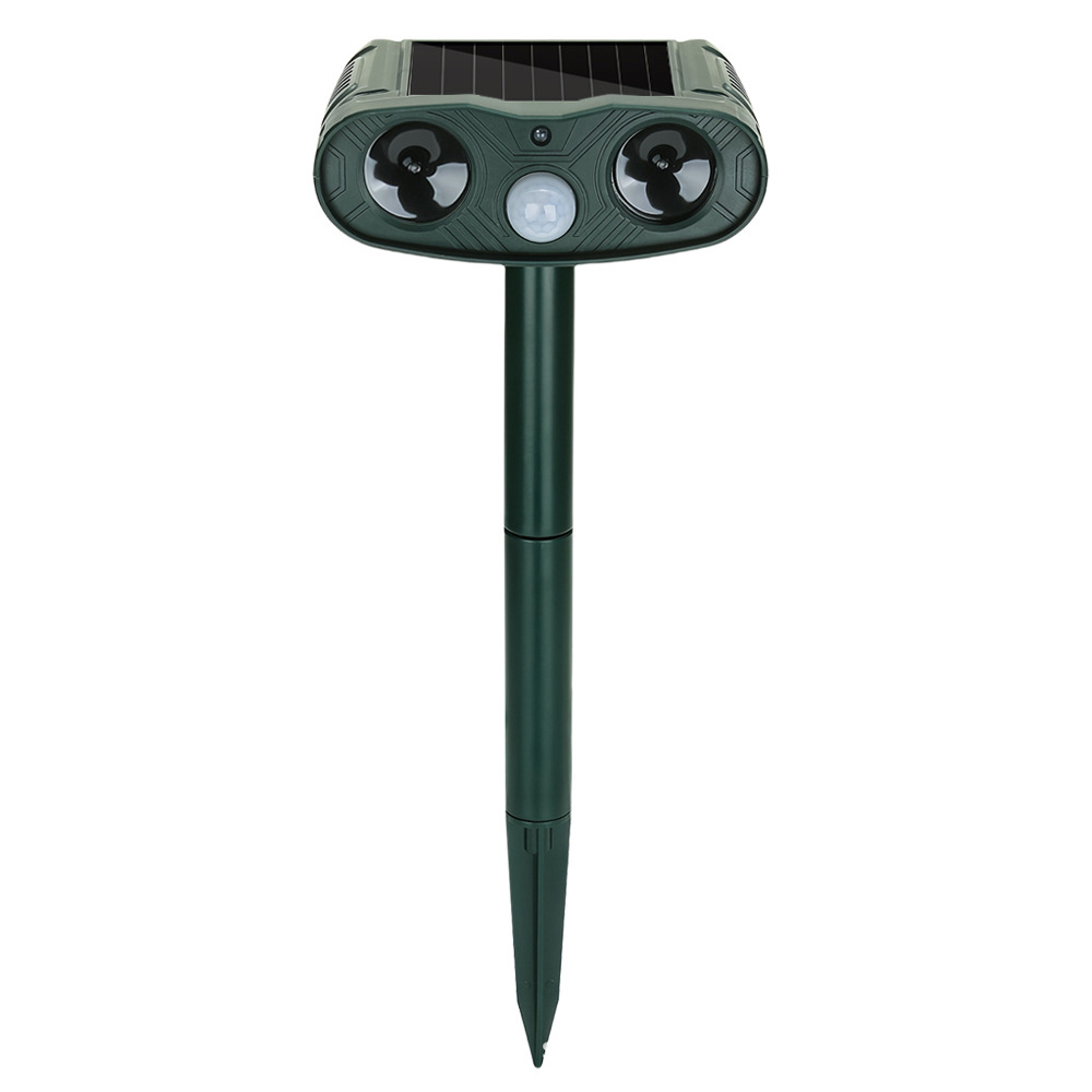 LT-AR081