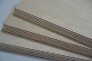 Giá Rẻ Giá 9Mm/12Mm/18Mm 1220*2440Mm Bạch Dương Ván Ép Tấm Với Carb Cho Đồ Nội Thất Trang Trí - Product Image 4