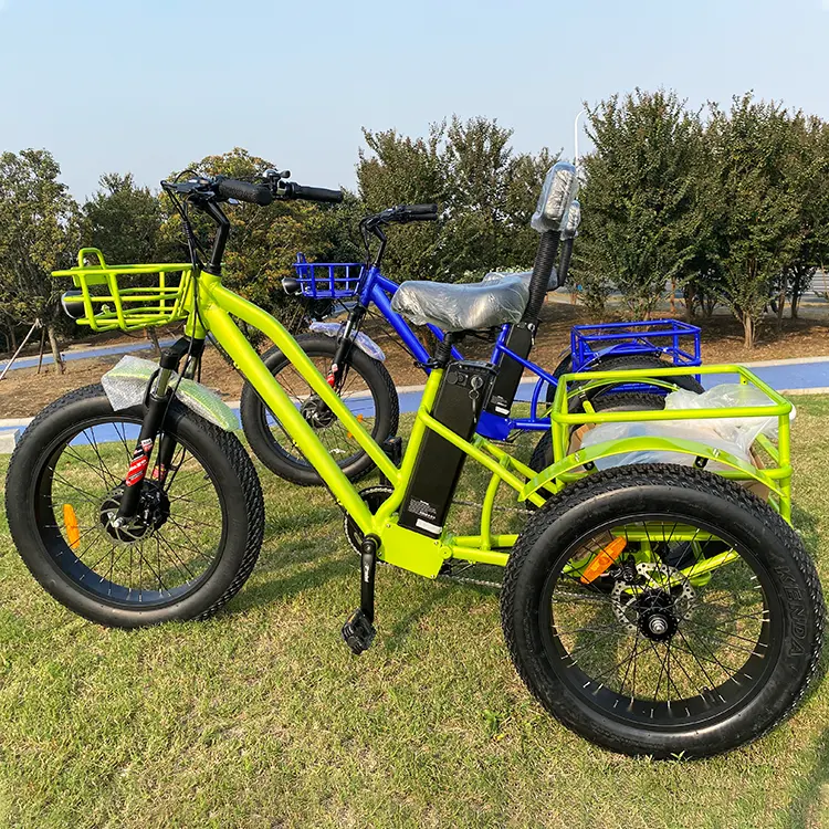 Elektro-Dreifahrrad behindert-Erwachsene Reisen Elektrofahrrad Dreirad-Wagen für Klettern am Strand