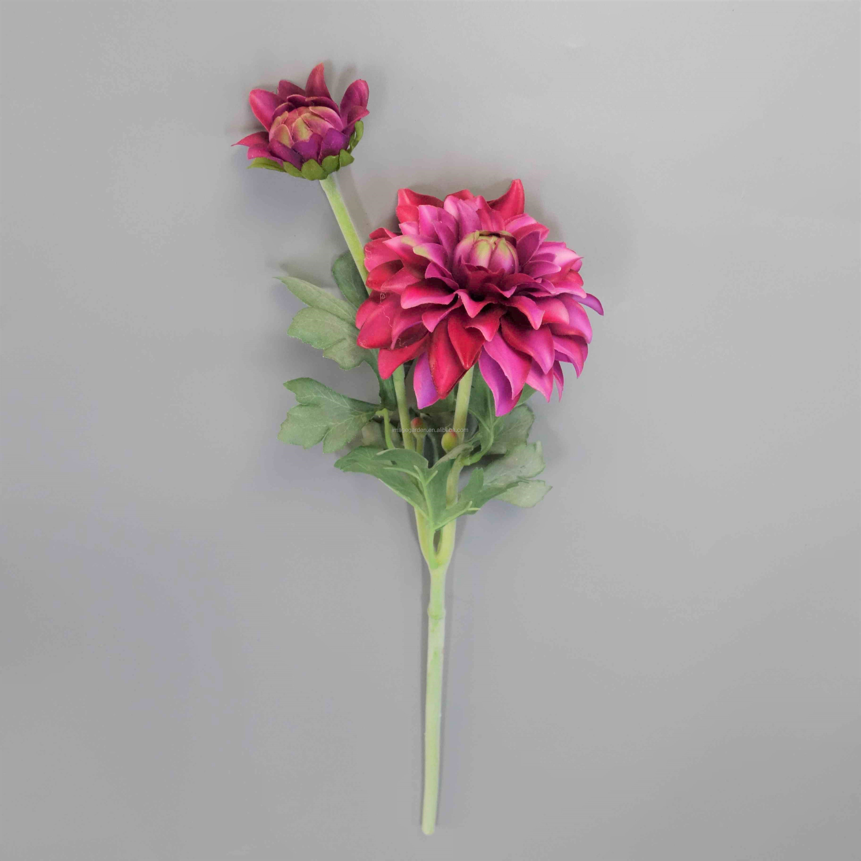 Fucsia scuro