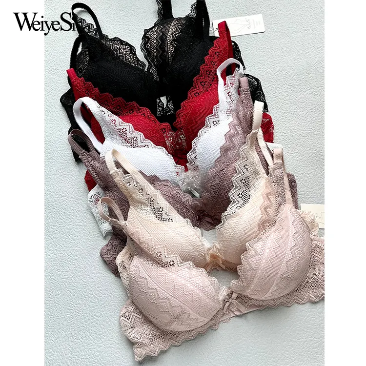 Schönes Spitzen-Unterwäsche-Dessous-Set Höschen und BH-Set Gesamtpaket Verkauf Weiyesi-Mode für Damen 6 Stück Erwachsene gestrickt