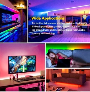 WS2811 WS2812B WS2815 60LED/M 144LED/M DC5V 12V IP20 IP65 IP67 indirizzabile Pixel 5050RGBIC striscia di luce a Led progetto Nightclub Bar - Product Image 4