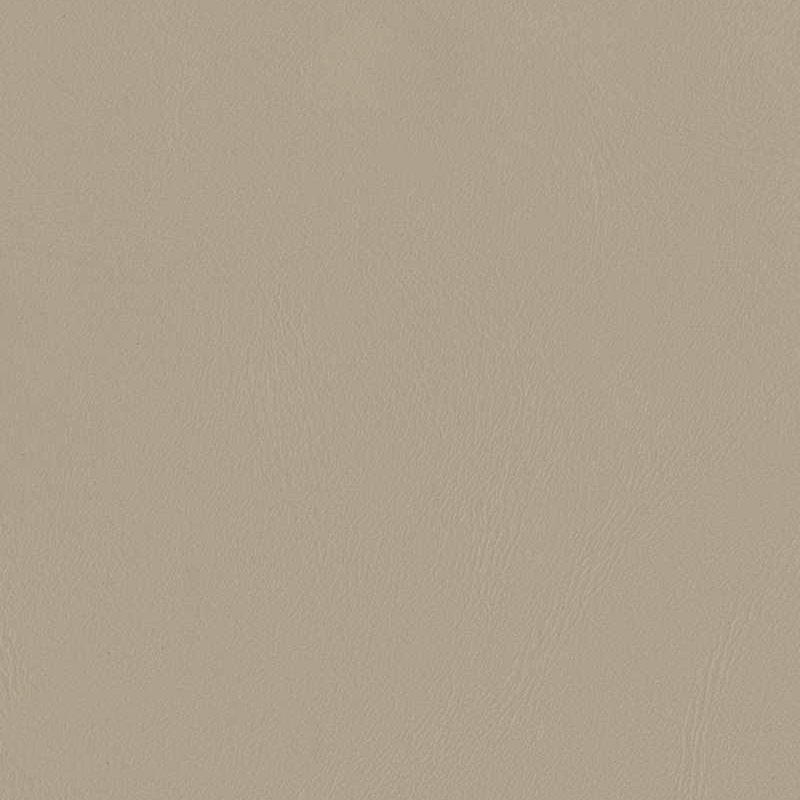 05# Taupe des bois