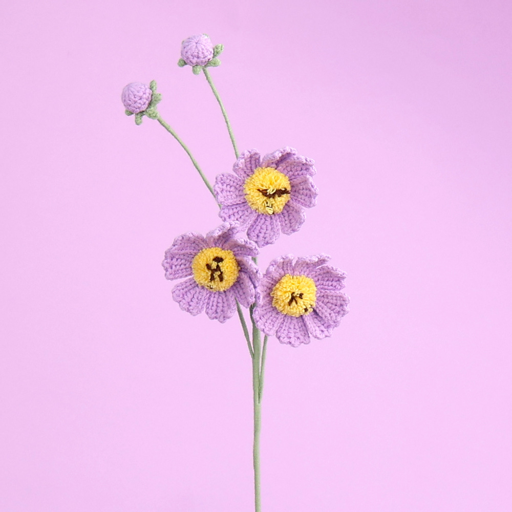 Pourpre