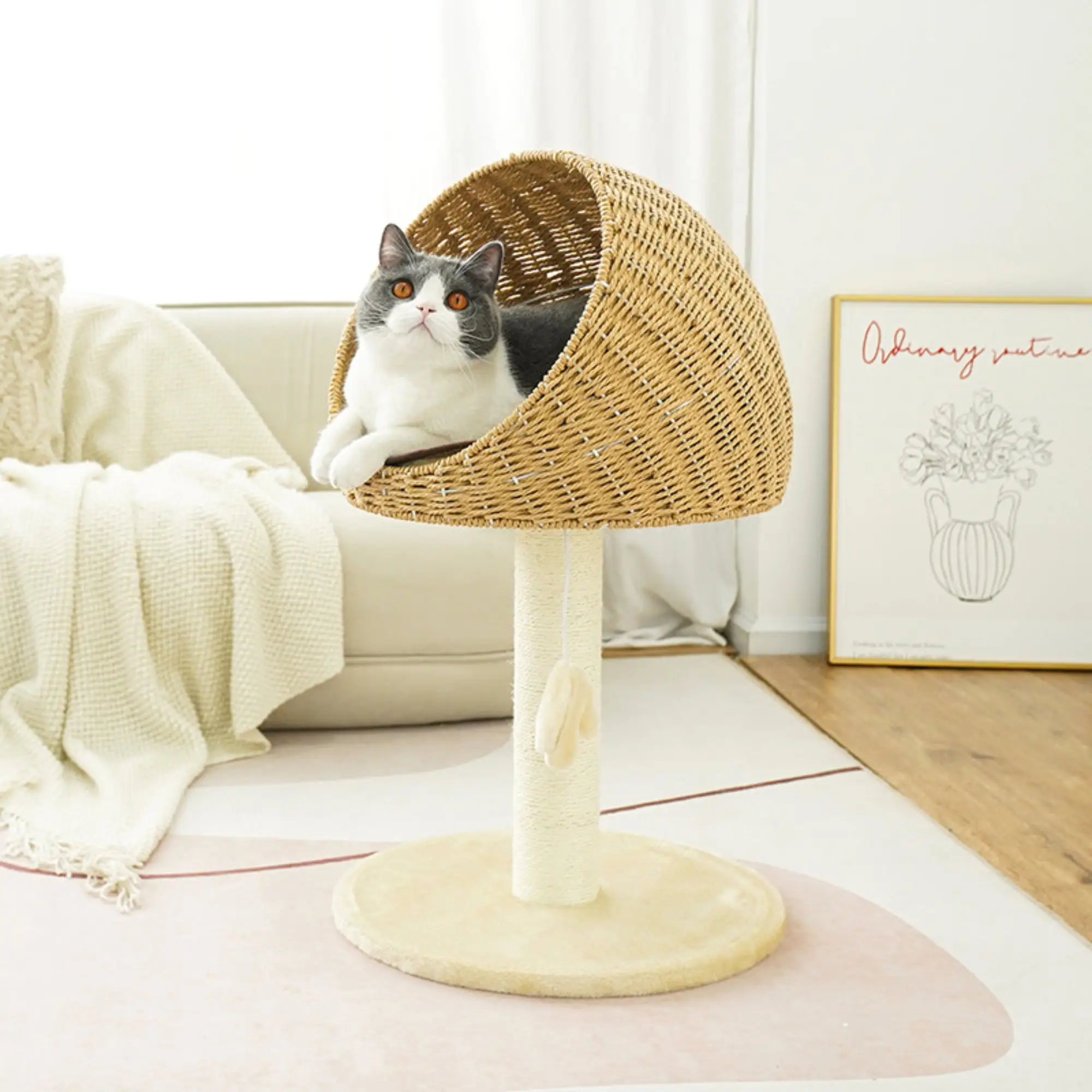 Modern ahşap küçük kedi tırmalama sütunu hamak oyuncaklar ile büyük kedi ağacı kule evi oynarken