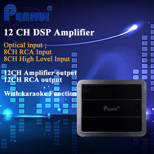 Amplificador DSP para coche, para mejora de audio, entrada óptica de 12 canales, salida de 12 canales, salida RCA de 12 canales, 64W X 12
