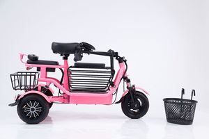 Marka yeni yüksek kaliteli elektrikli üç tekerlekli bisiklet yetişkin 3 tekerlekli kargo <span class=keywords><strong>E</strong></span> bisiklet arka Hub ile fırçasız Motor tek hızlı elektrikli Scooter