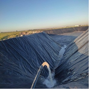 Professional Factory Direct Sales Polyethylene Reinforced 1mm 1.5mm <strong>HDPE</strong> Geomembrane - Product Image 4