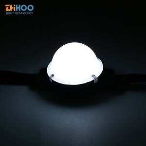 Smd Programmable <strong>Rgb</strong> 24v <strong>Led</strong> Pixel 5050 Waterproof 40mm Bulb Ucs1903 DMX Pixel <strong>Led</strong> Point Lights - Product Image 5