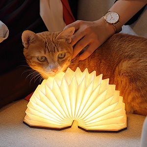 Sản phẩm sáng tạo 2023 - Mặt hàng bán chạy nhất trên Etsy - Đèn xếp gấp sáng tạo - Product Image 3