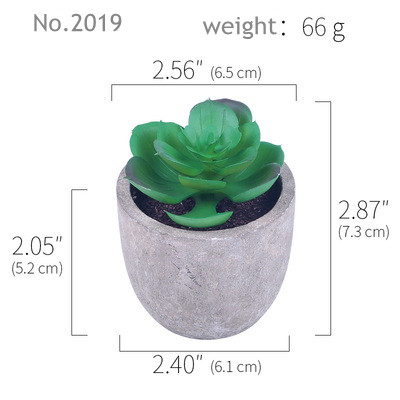 RTS2019(66g)