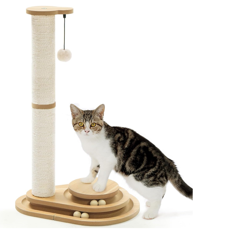 12.8"L x 12.8"W x 36.6"H