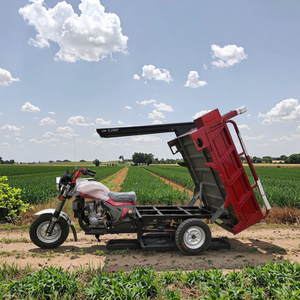 סין חדש 3 גלגל apsonic אופנוע תלת אופן דלק מטען חוות אופניים ממונעים מקוררים מוטו למבוגרים - Product Image 2