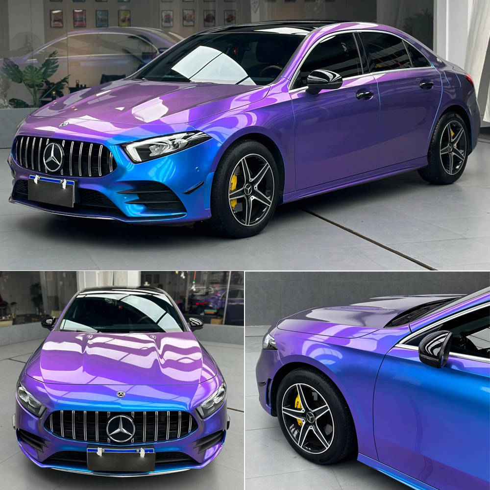 Caméléon violet bleu