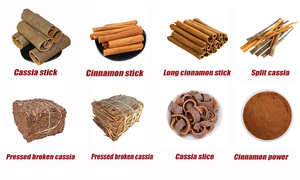 批发价单香料高品质决明子肉桂 - Product Image 6