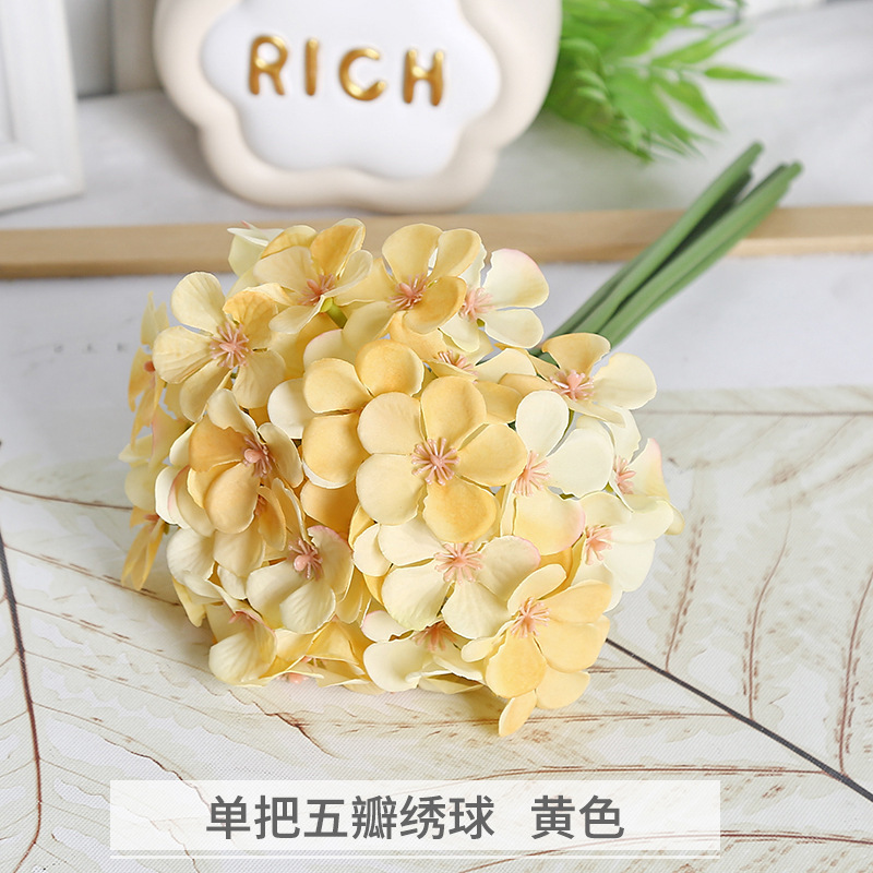 5-petaled yellow hydrangea