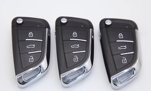 Multifunktion aler Autos chl üssel der TY-Serie DF Faltbare Universal fernbedienung mit 3 Tasten Rollendes Metall material oder Optionen mit festem Code - Product Image 4