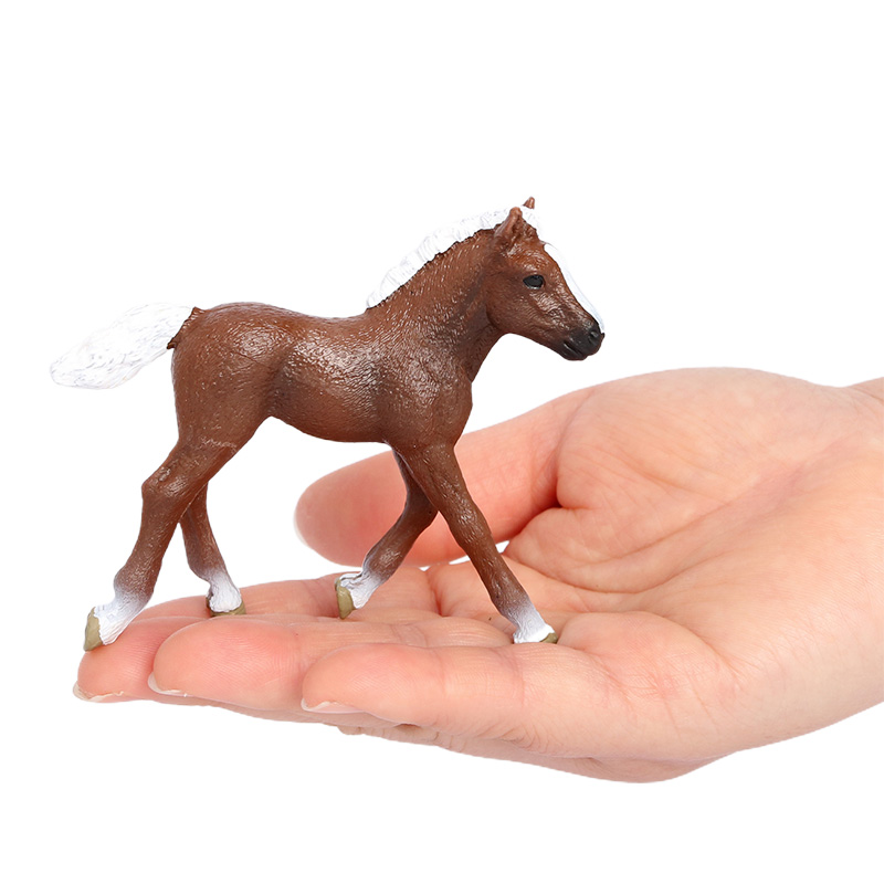 2853 Le cheval poney de la Forêt-Noire