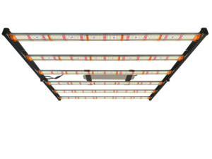 ไฟปลูก2024ไฟปลูกพืชแบบ LED - Product Image 5