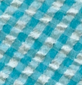 Blue & White Gingham