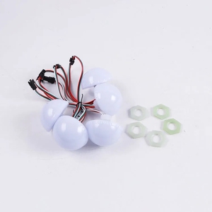 アミューズメントプログラム可能なカーニバルLEDライト45mmDC12V RGB屋外用 - Product Image 2