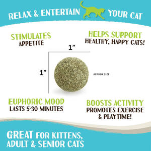 Raw Paws Catnip Balls Interactive Cat Toy for Indoor Kitten Toys Cat <strong>Nip</strong> Lick Ball <strong>Nip</strong> Natural Catnip Ball for Cats All Breeds - Product Image 5
