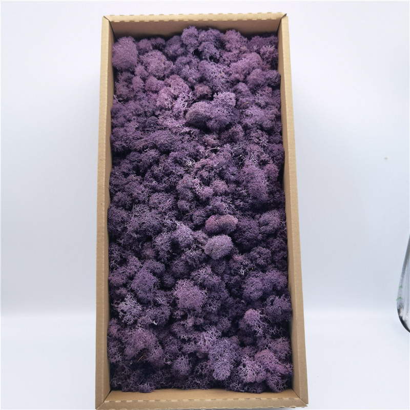 Z01 rosso porpora intenso-100g