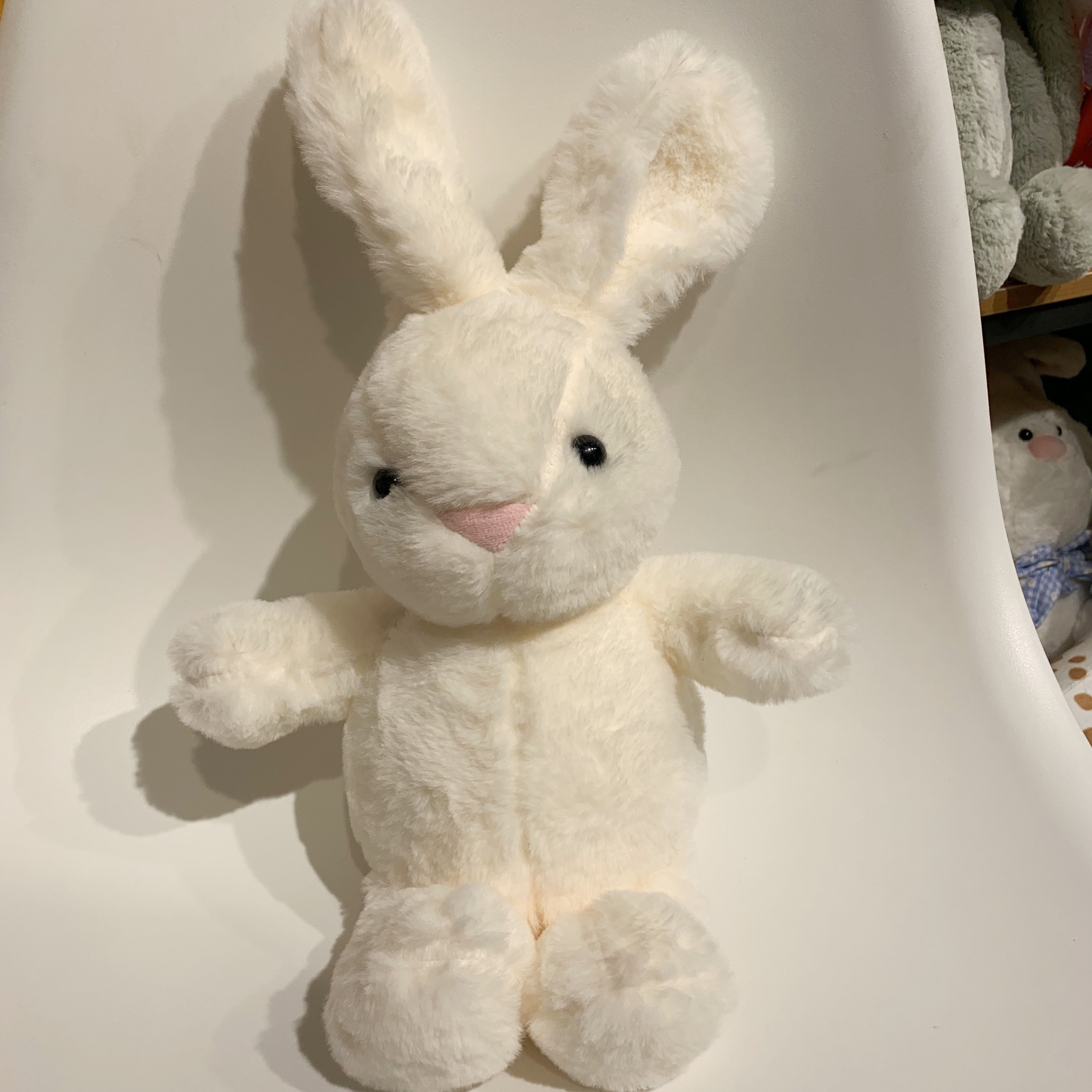seulement un lapin blanc