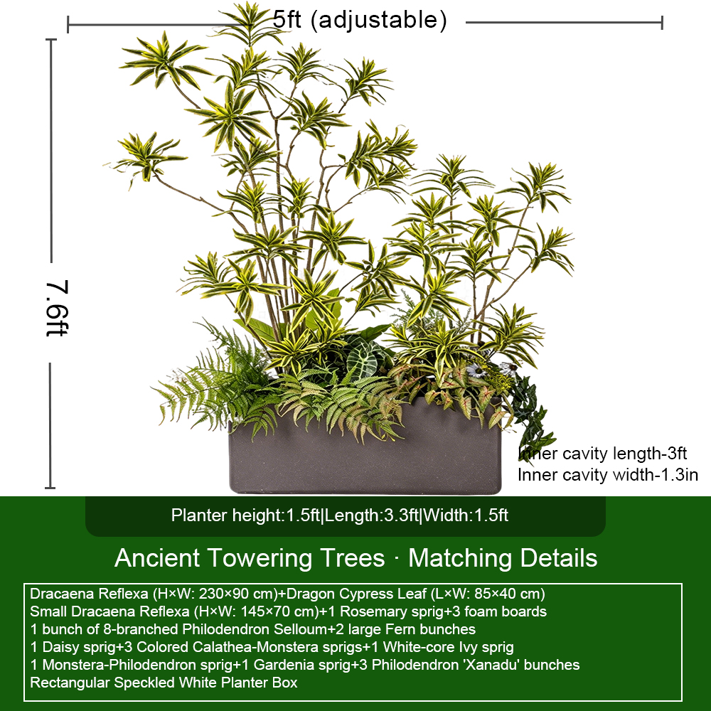 Conjunto gris de 2,3 metros con Dracaena antigua y ciprés.
