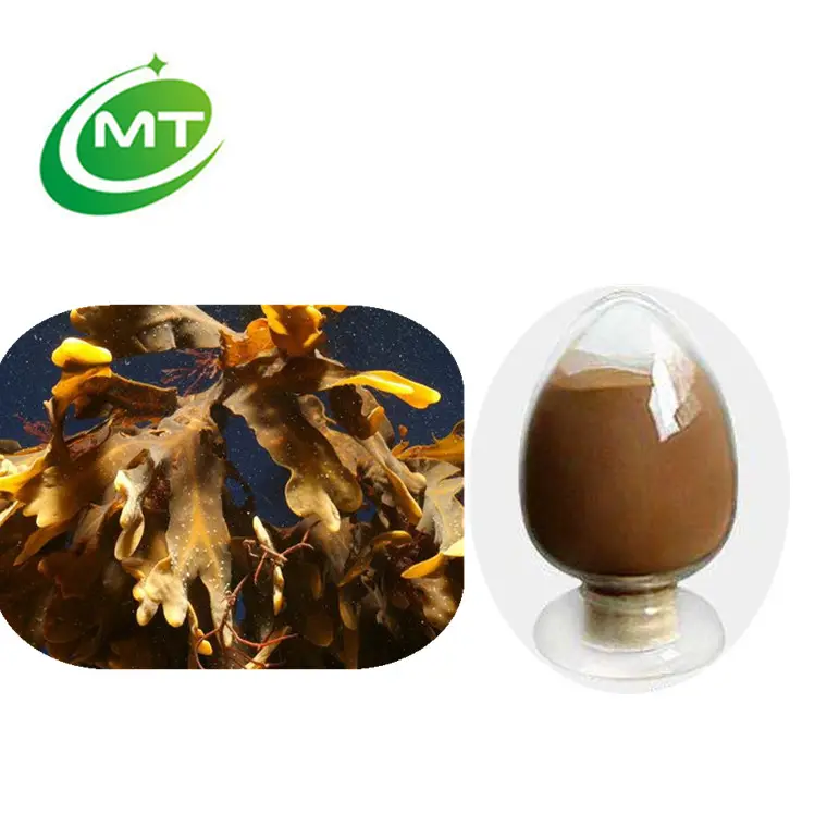 Bio 10%-50% Fucoxanthin Laminaria Japonica Pulver Wakame Fucoxanthin Extrakt