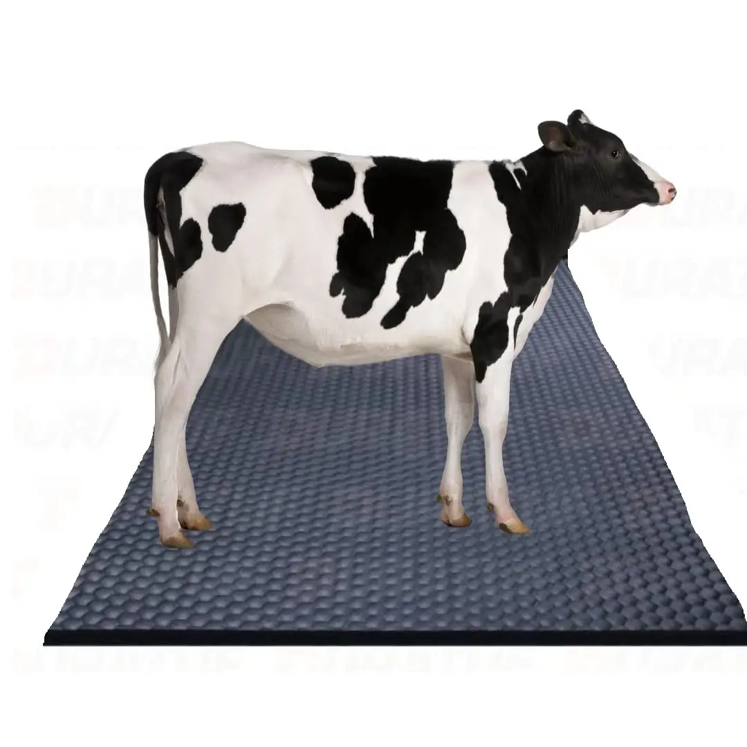 Tapis de porte antidérapant, matériau recyclable, doux, Stable, ferme de chevaux, animaux, cochon, vache, vente directe en usine