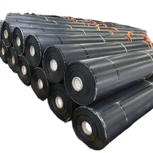 Dawnview 1mm 2mm Customized <strong>HDPE</strong> Geomembranes Sheet for the Landfill Project Dam Liner Anti-seepage Pond Liner - Product Image 1