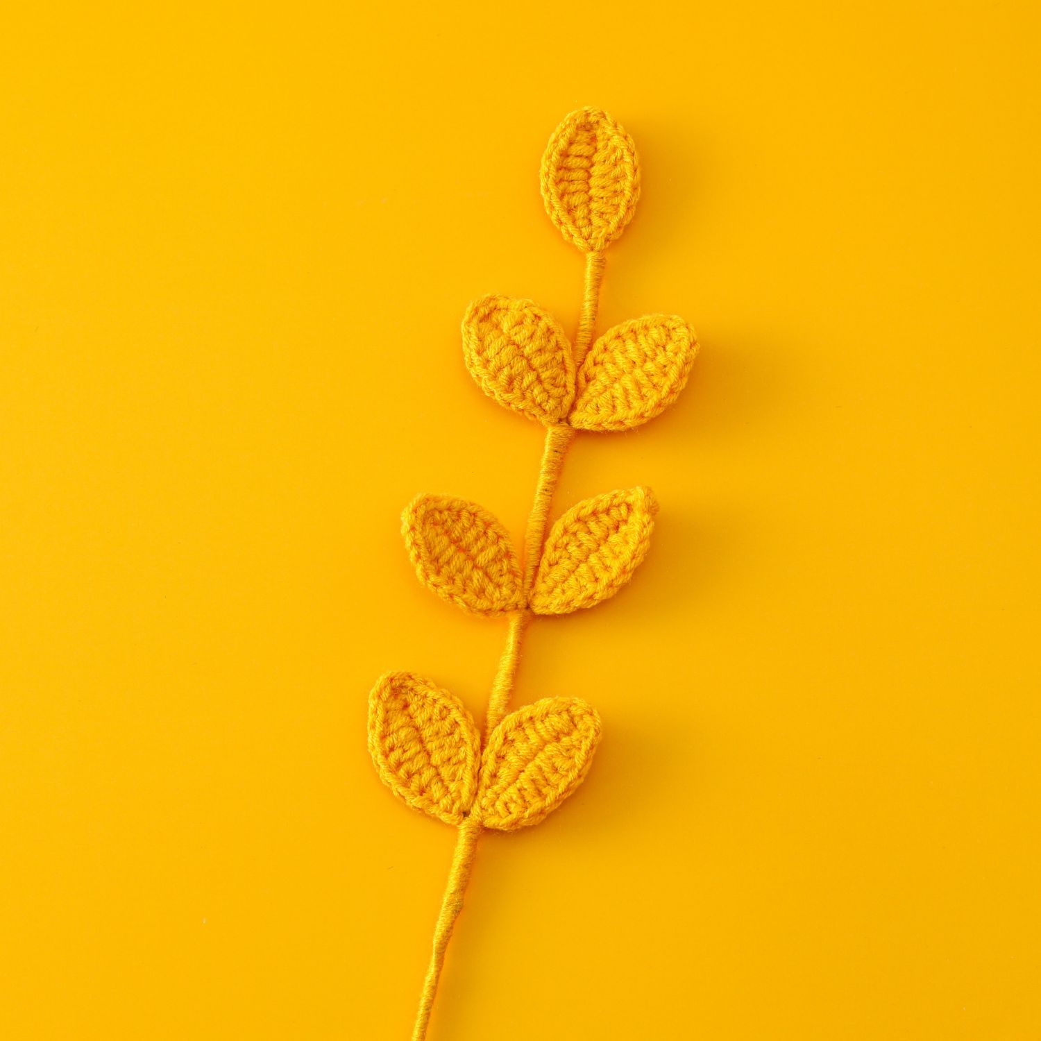 Orange-1