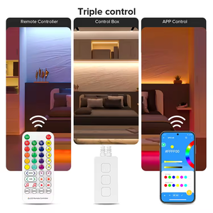 ESann BT 4PIN 5PIN App-Tasten Tasten Musik gruppierung Timer IR Remote LED RGB Rgbw Controller - Product Image 3