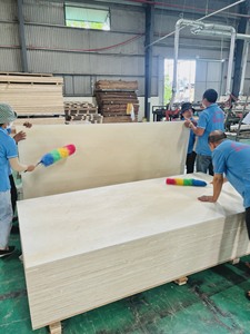 高强度18毫米E0标准三聚氰胺胶合板4x8杨木现代建筑室内装饰层压膜