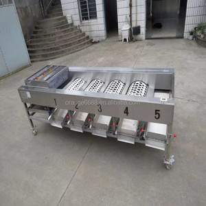 Máquina de selección y clasificación para ajo, limón, dátiles, tomates, piñas, patatas, graduador de frutas y verduras - Product Image 3